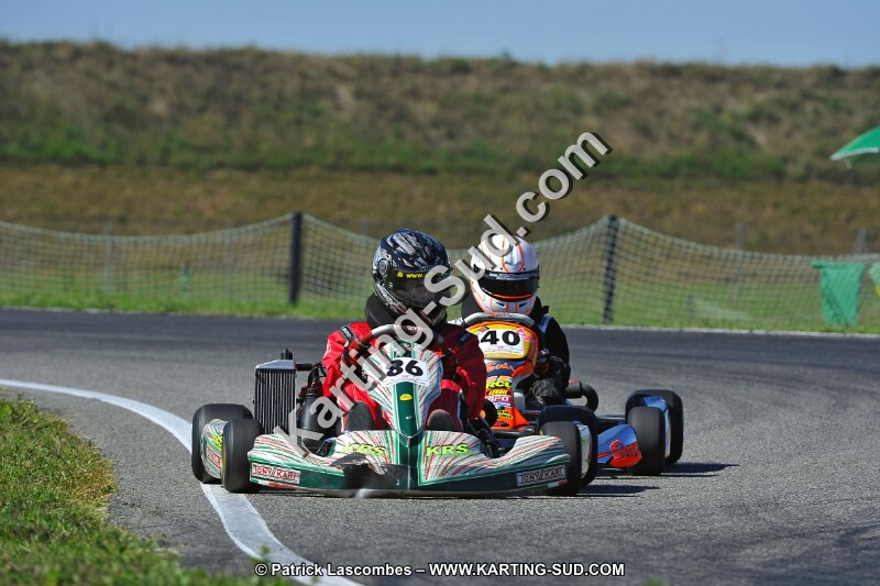 DSC_ (1574).jpg
